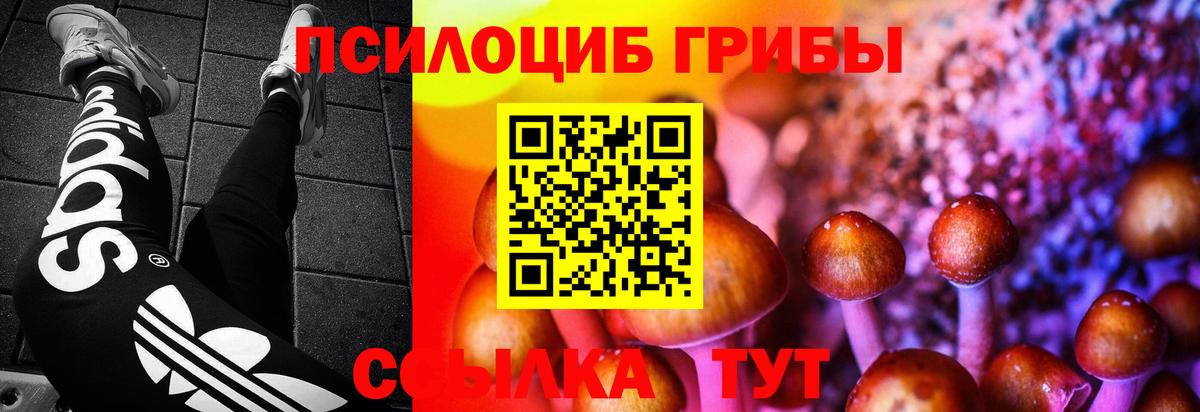 Галлюциногенные грибы Psilocybe  Галлюциногенные грибы GOLDEN TEACHER  Вход с VPN  Каменка 
